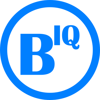 BalloonifyIQ Logo